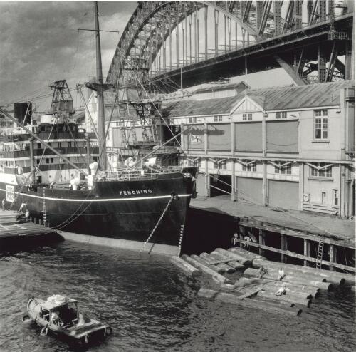 Imported logs from south-east Asia are unloaded into Sydney Harbour to be towed to a sawmill just upstream of the Pyrmont Bridge [picture] / Jeff Carter