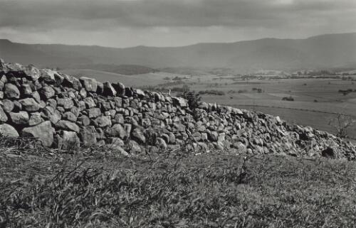 A dry stone wall built by Tom Newing in the Kiama region [picture] / Jeff Carter