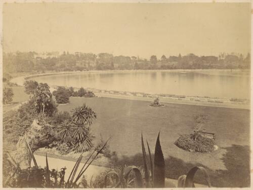 Farm Cove, views in the gardens & Domain, Sydney [picture] / [L Frost]