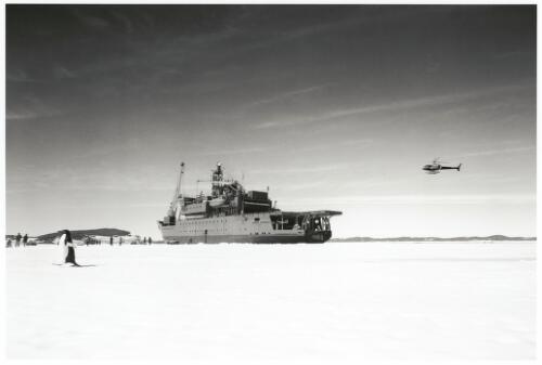 Australian Antarctic Territory, ice breaking vessel in ice, with helicopter approaching, 1993 [picture] / Charles J. Page