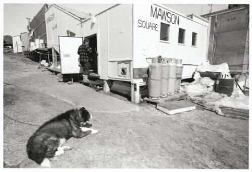 Australian Antarctic Territory, Mawson Square, 1993 [picture] / Charles J. Page