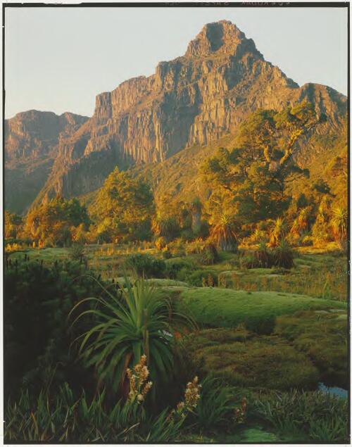 Morning light on Mount Anne, southwest Tasmania, 1989 [picture] / Peter Dombrovskis
