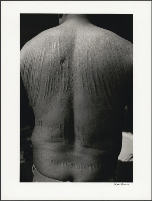 Portrait of the back of artist David Mowaljarlai, 1994 [picture] / Joyce Evans