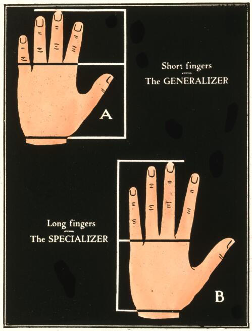 Short fingers, the generalizer, long fingers the specializer [transparency]