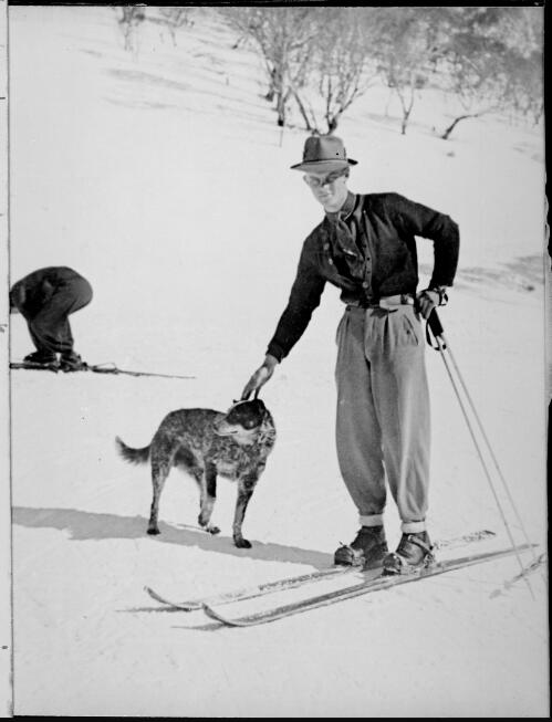 Man standing on snow skis patting a dog, Snowy Mountains, New South Wales, ca. 1930 [picture]