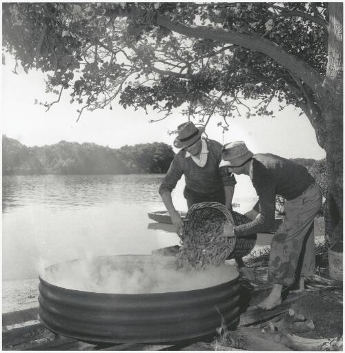 Two men cook prawns at Greenwell Point near Nowra, New South Wales, ca. 1955 [picture] / Jeff Carter