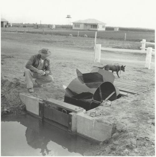 A soldier settler checks the water flow through a Dethridge wheel, Murrimbidgee Irrigation Area, New South Wales, 1957 [picture] / Jeff Carter
