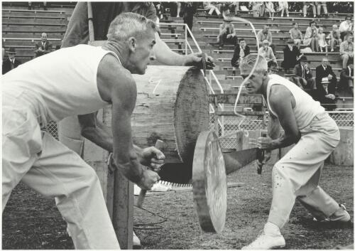 Cross cut saw competition, Sydney Royal Easter Show, New South Wales, 1961 [picture] / Jeff Carter