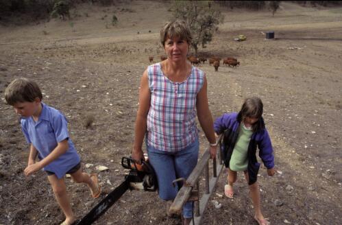 Farmer Julie Thompson with children Stephanie and Christopher hand-feeding cattle, Harley Hill, Mudgee District, New South Wales, 1994 [picture] / Philip Quirk