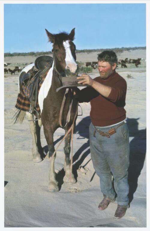 Drover Len Cant gives his horse a drink from his hat on the Birdsville Track, Northern Territory, 1963 [picture] / Jeff Carter