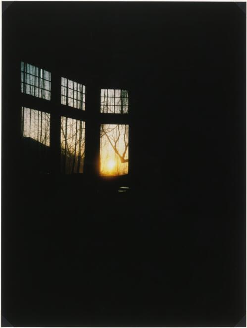 Sunset through the bedroom window, Oakcroft Road, London, January 1983 [picture] / Axel Poignant