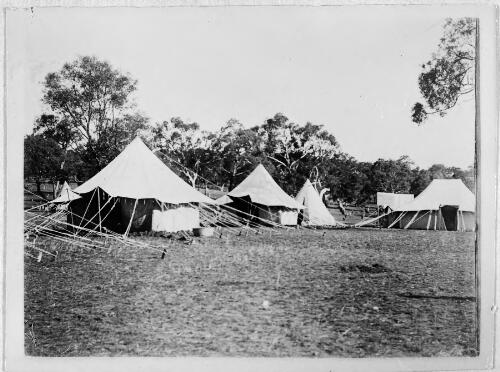 Federal City Camp Canberra tents, 1909 [picture]