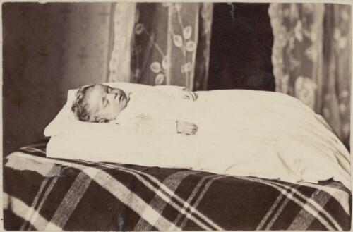 Funerary photograph of a child on a tartan cover, Melbourne, ca. 1877 [picture] / Paterson Brothers