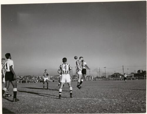Soccer, Sydney, New South Wales, May 1961 [picture]