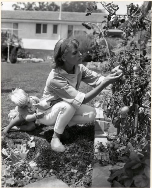 Home gardener and child in the garden, Canberra [picture]