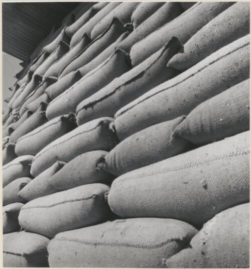 Bagged rice on pallets, Murrumbidgee Irrigation Area, 1967 [picture]