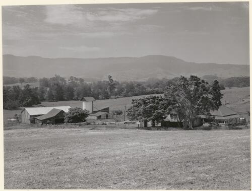Dairy farm near Nowra, south coast New South Wales 1959, (1) [picture]