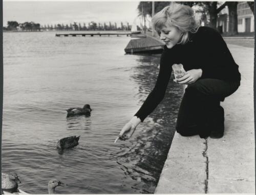 Sandra van Loon feeds the ducks in Albert Park Lake, close to her home 1973 [picture]