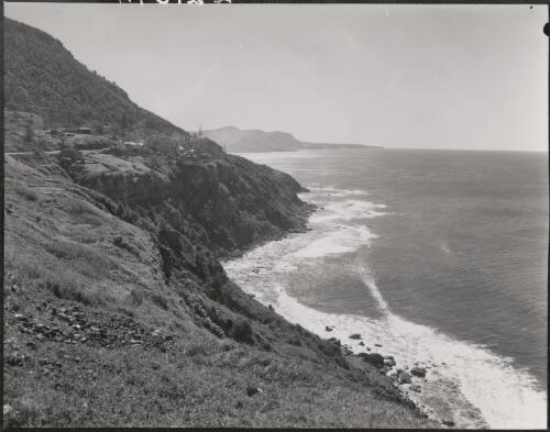 South coast, near Scarborough, New South Wales 1956 [picture]