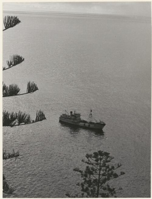 Whale chaser ship the Norfolk Whaler at Norfolk Island, September 1961 [picture]