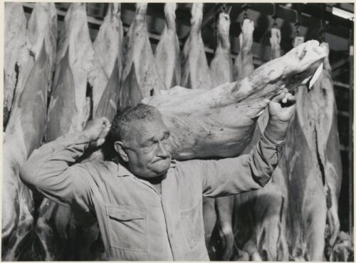 Carcasses in a Sydney abattoir, (2) [picture]