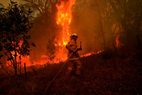 NSW Rural Fire Service volunteer fire fighter hauls a hose in front of flames at a bushfire, Peats Ridge, Sydney, 7 February 2009, 1 [picture] / Nick Moir