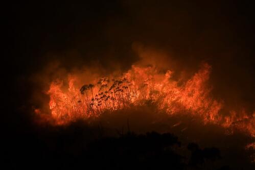 A raging bushfire in the Grose Valley, Blue Mountains, New South Wales, 21 November 2006 [picture] / Nick Moir