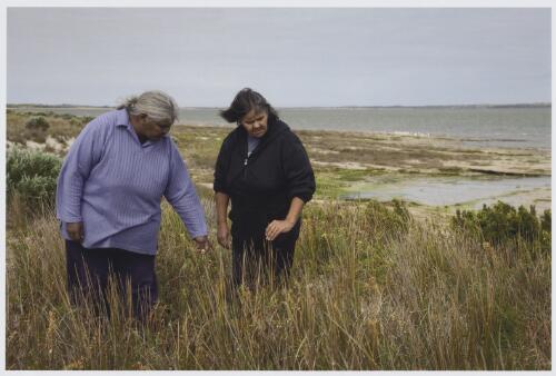 Ngarrindjeri reed weavers, Ellen Trevorrow and Noreen Kartinyeri at Bonny Reserve on The Coorong, South Australia, 19 August 2008 [picture] / Andrew Chapman