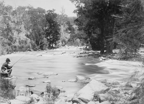 John Gale fishing at  Murrumbidgee River, Canberra [picture] / C. Kerry
