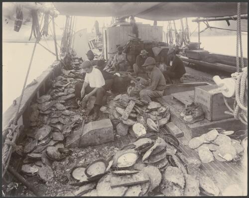 On board a pearling lugger, Thursday Island, Queensland, ca. 1905 [picture] / St. Austell Studio