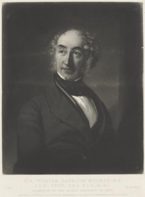 Portrait of Sir William Jackson Hooker, director of the Royal Gardens of Kew, England, ca. 1845 [picture] / engraved by Mr. Walker from a picture by Gamberdella