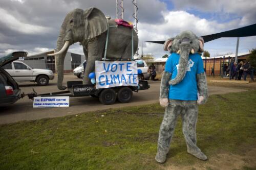 Climate change activist with the Australian Youth Climate Coalition dressed in an elephant suit outside Seabrook Public School, during the Australian Federal Election, Melbourne, August 2010 [picture] / Benjamin Rushton