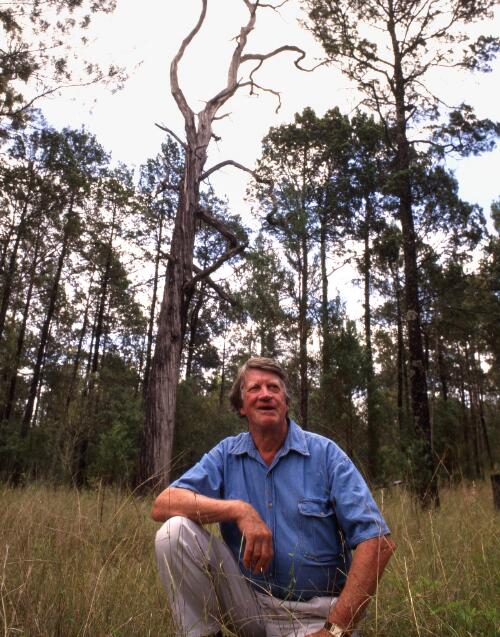 Eric Rolls crouched in front of a cypress pine, near Gunnedah, New South Wales, 1998 [picture] / Peter Solness