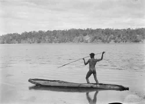 Australian Aboriginal in bark canoe spearing fish, North Queensland, 1934 [picture] / A.H.E. Mattingley