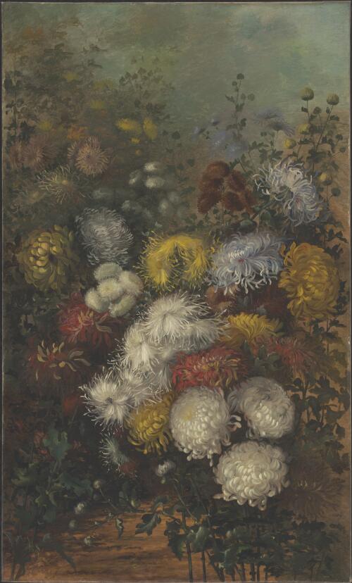 Chrysanthemums, ca. 1890 [picture] / Ellis Rowan
