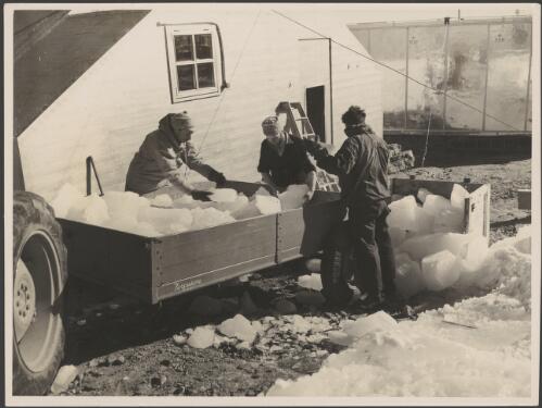 Expedition members stack ice outside the kitchen door for drinking water, Antarctica, 1955 [picture] / George Lowe