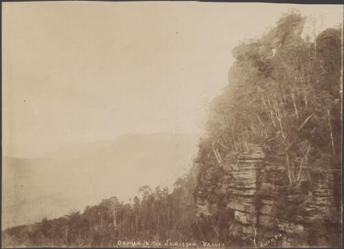 Orphan in the Jamieson Valley, Blue Mountains, ca. 1900 [picture] / by Kitch & Co