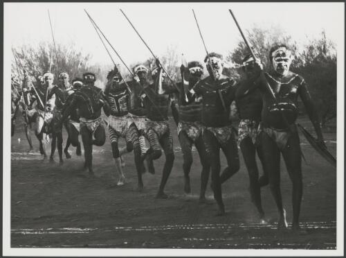 Men of the Wailbri language group perform the Murrungurru, welcoming, dance, Yuendumu, Northern Territory, 24 January 1973 [picture] / Michael Jensen