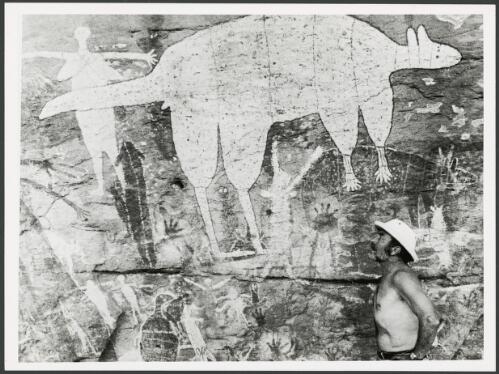 Percy Trezise examines a rock paintings dominated by a kangaroo, Queensland, 6 March 1978 [picture]