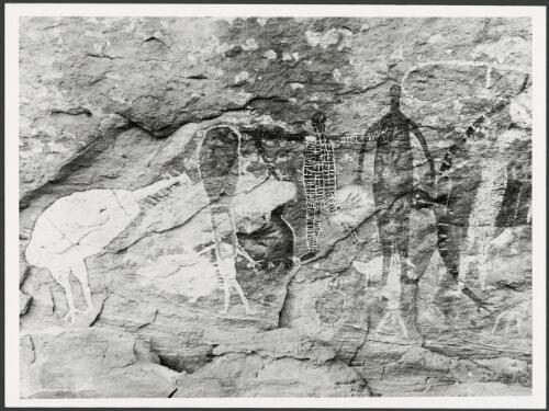 Rock painting dominated by human figures, Queensland, 6 March 1978 [picture] / Percy Trezise