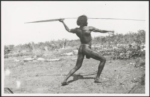 Aboriginal man throwing a spear using a woomera, Kimberley, Western Australia, ca. 1970 [picture] / by Bill Pedersen