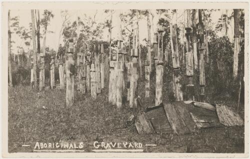 A collection of Tutini burial sculpture poles, each decorated individually as part of the Pukumani ceremony, Northern Territory [picture]