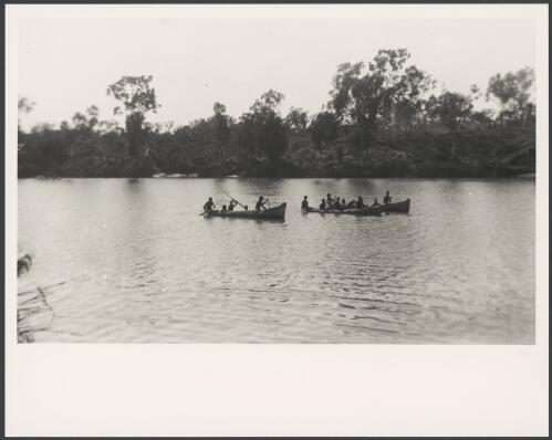 Groups of Aboriginal men in large dug out canoes on river, Borroloola, Northern Territory, 1934 [picture]