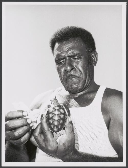 Urimah Lowatta of the Yadhaigana Language group using antiseptic solution to clear fungus from around the eye of a baby green turtle, York Island, Queensland, 21 August 1972, 2 [picture] / Bob Nicol