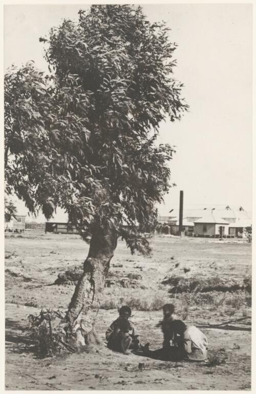 Two Aboriginal women sitting under a tree with a young child, Northern Territory [picture]