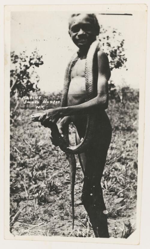 Young Aboriginal boy holding a large snake around its head, Northern Territory [picture]