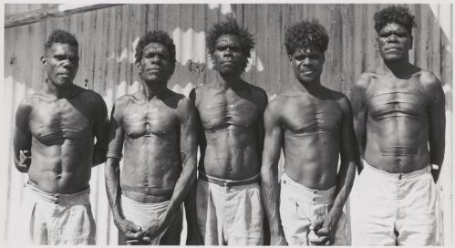 Five older Aboriginal men of the Enindhilyagwa Language group wearing trousers without shirts displaying their decorative body scarring, Groote Eylandt, Northern Territory, June 1948 [picture] / Robert Miller