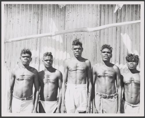 Five young Aboriginal men of the Enindhilyagwa Language group wearing trousers without shirts displaying their decorative body scarring, Groote Eylandt Northern Territory, June 1948 [picture] / Robert Miller