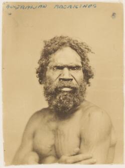 Portrait of a bearded Aboriginal man with his arms folded displaying ...