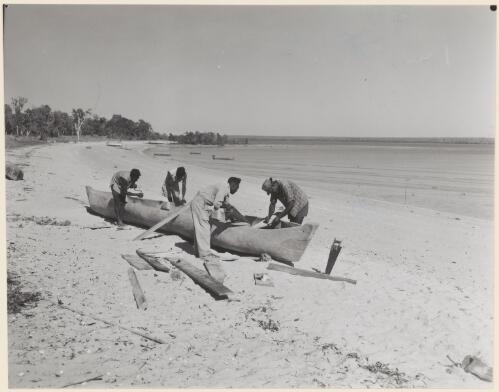 Four Aboriginal men of the Gunibidji Language group making a dugout canoe at the Maningrida Welfare Settlement, Northern Territory, June 1960 [picture] / John Tanner